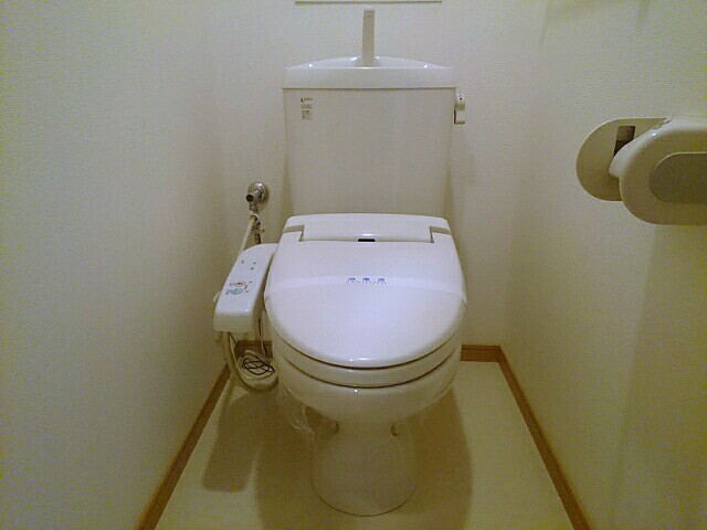 フォルトゥ－ナ その他2