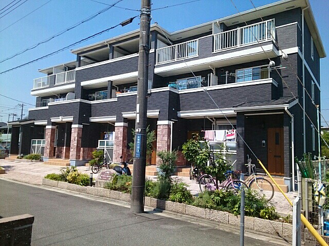 ストレリチア・オ－ガスタ 外観