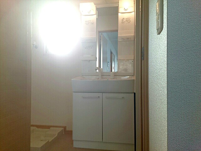 ストレリチア・オ－ガスタ その他1