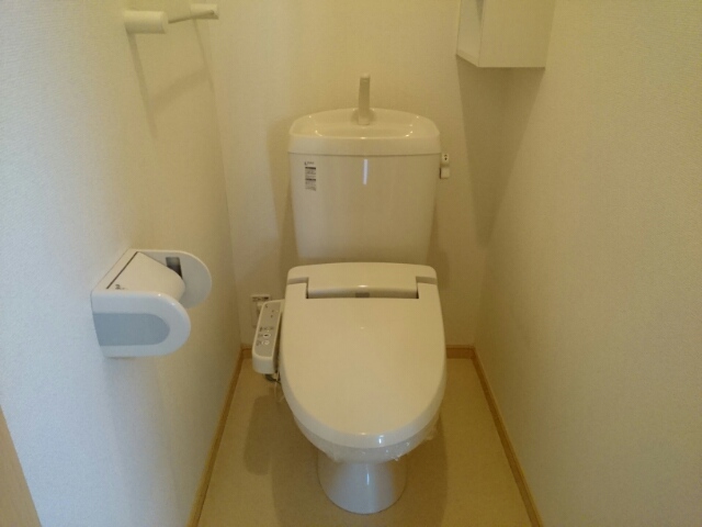 ストレリチア・オ－ガスタ その他2