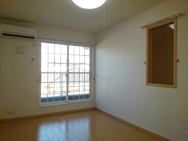 ストレリチア・オ－ガスタ その他3