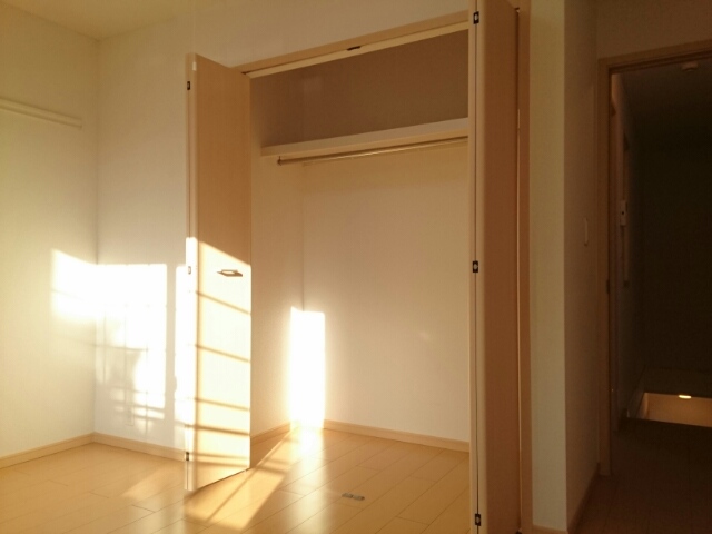 ストレリチア・オ－ガスタ その他4