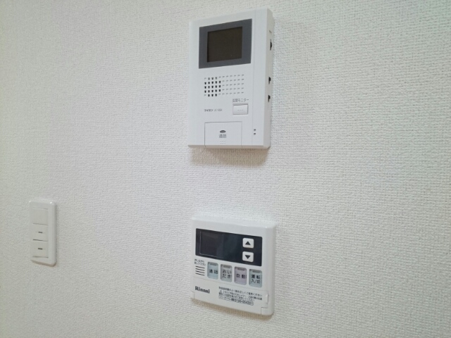 ストレリチア・オ－ガスタ その他5