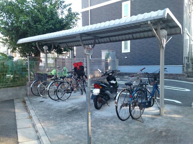 ストレリチア・オ－ガスタ その他7