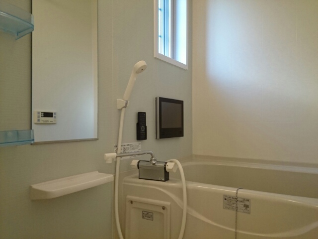 ストレリチア・オ－ガスタ 風呂画像