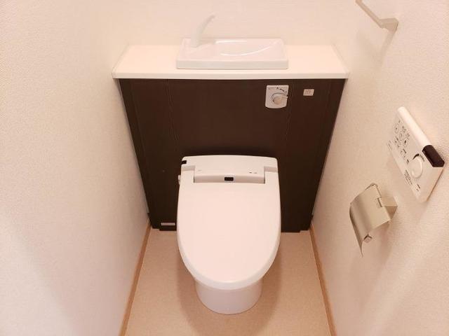 セレンディピティ　プレシャス その他2