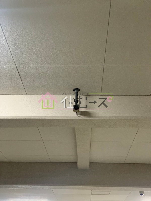 ネオハイツ第3新大阪 その他外観3