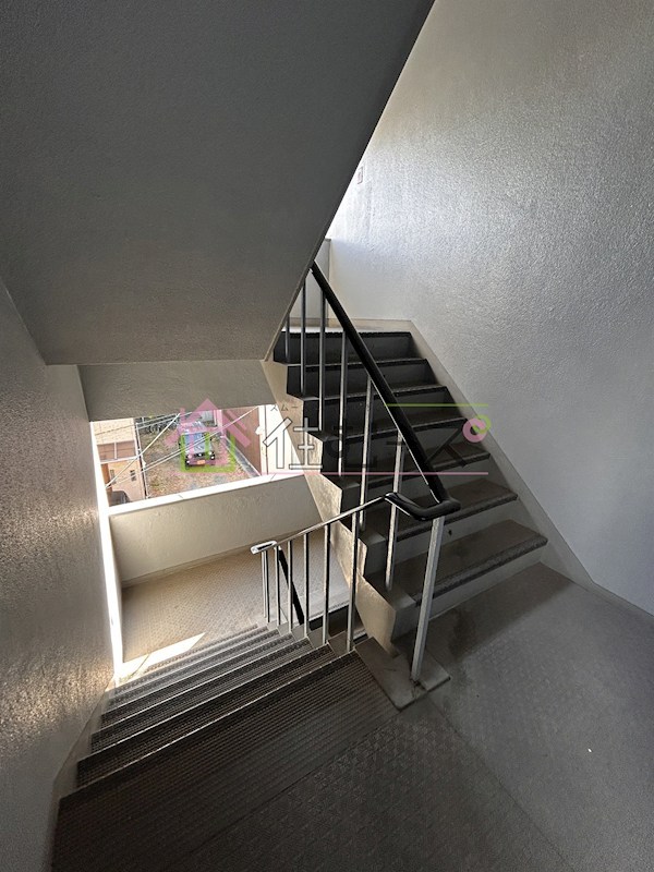 ニューカントリーハイム新高 その他外観3