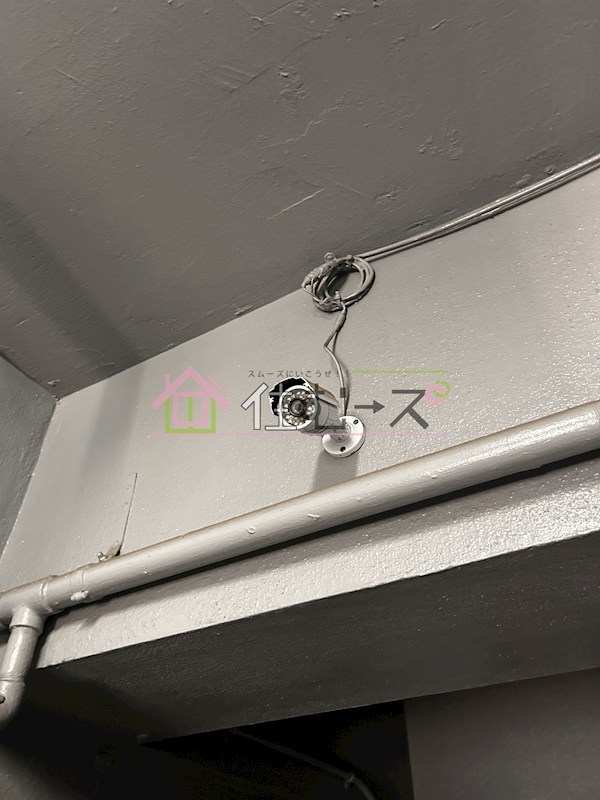 ニューカントリーハイム新高 その他外観5