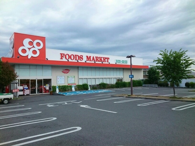 クレメント藤原 その他外観1