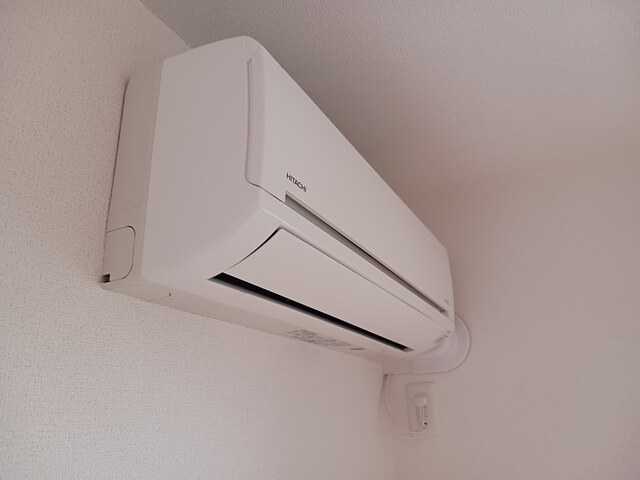 ジュネス王子 その他1