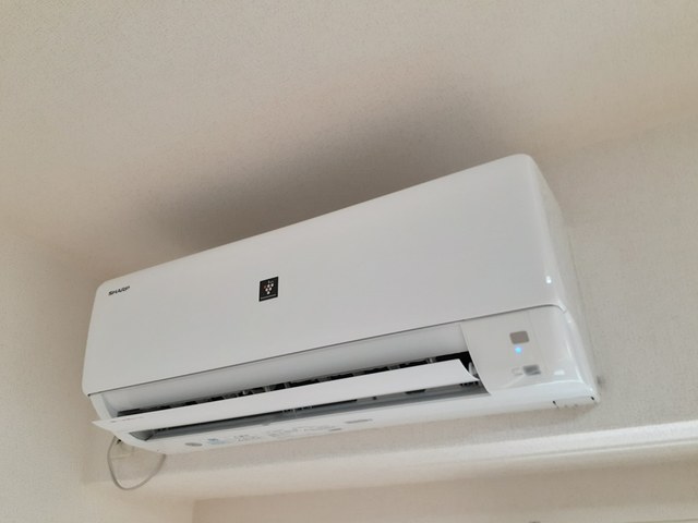 フォレスト　フィールド その他1