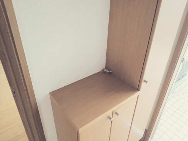 グリーンヒルズ日根野Ⅰ号館 その他6