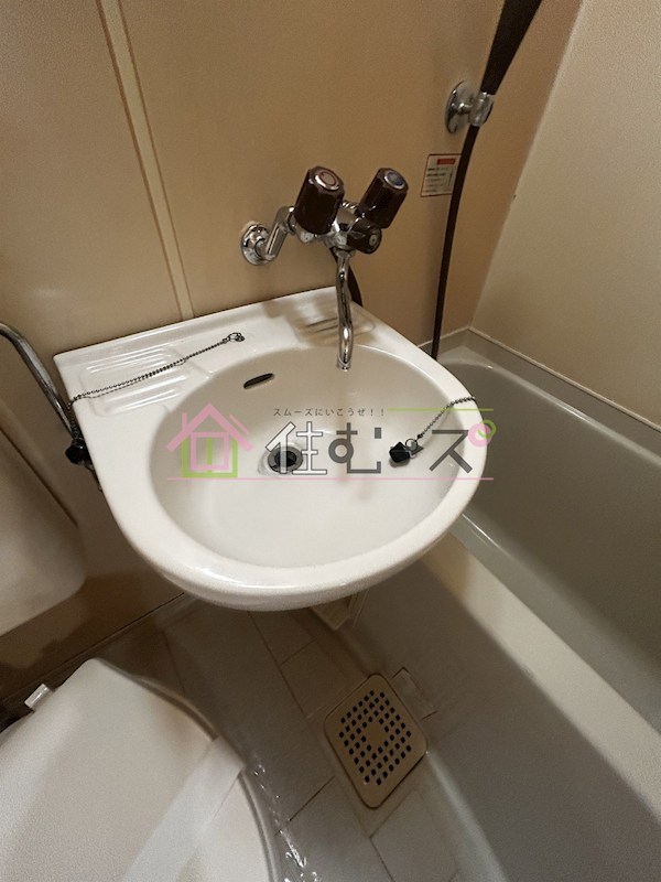 ルネッサンスファミール その他3