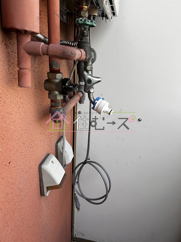 ルネッサンスファミール その他5