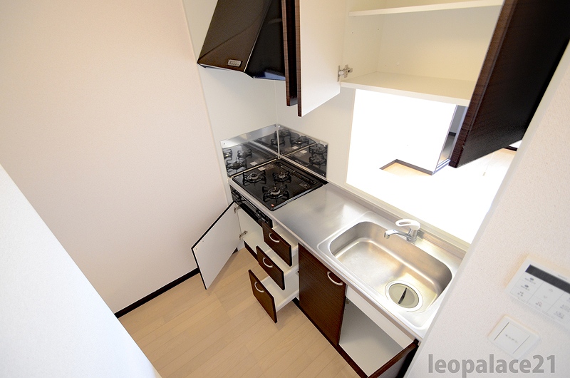 レオネクストヴィヴァンタ その他10