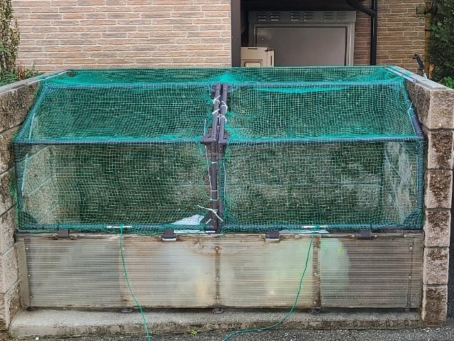 レオパレスあゆみ その他10