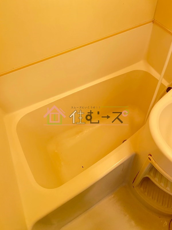 PALMIZIO平野西2 風呂画像