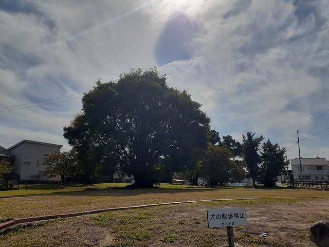 メゾン　エインシェントⅡ その他外観6