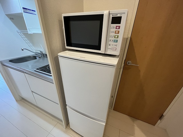 クレイノプルメリア その他11