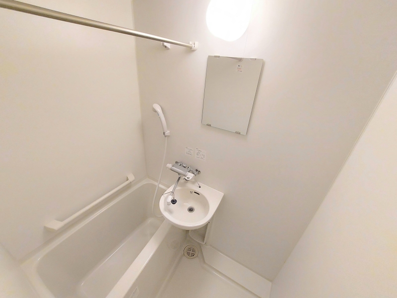 レオネクストＣａｒｐｅＤｉｅｍ 風呂画像