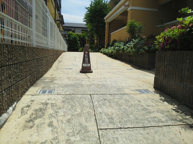 ヴァンテリュイソー その他2