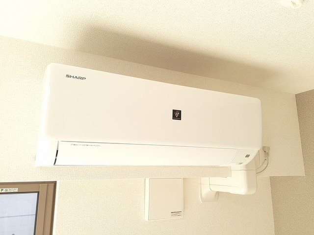 アコテドゥ・パーク その他1