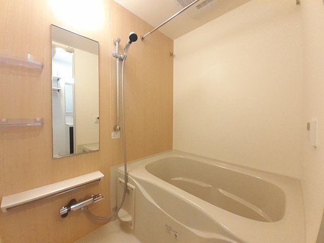 アコテドゥ・パーク 風呂画像