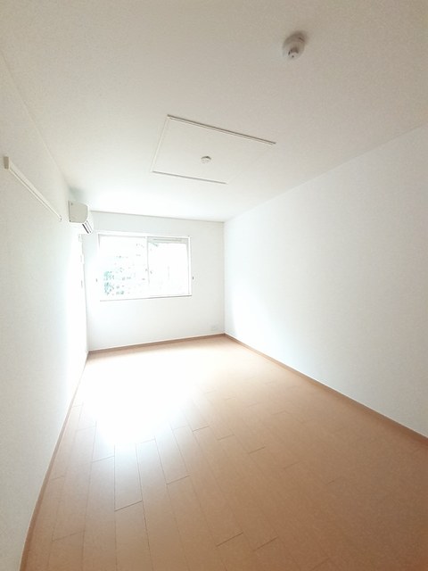 ハミング・バード その他2