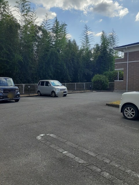 ハミング・バード その他5