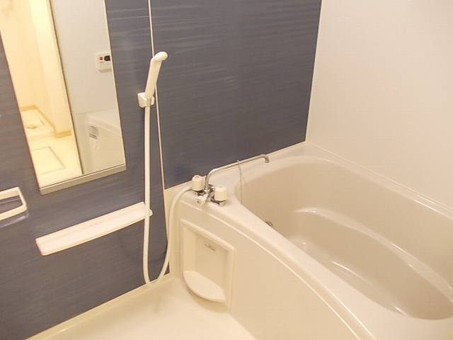 カ－サ　アルド－レ 風呂画像