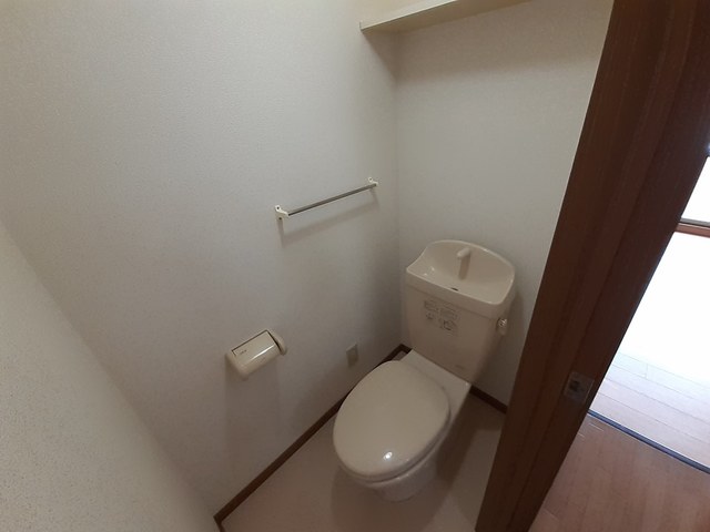 ヴィヴィッド その他2