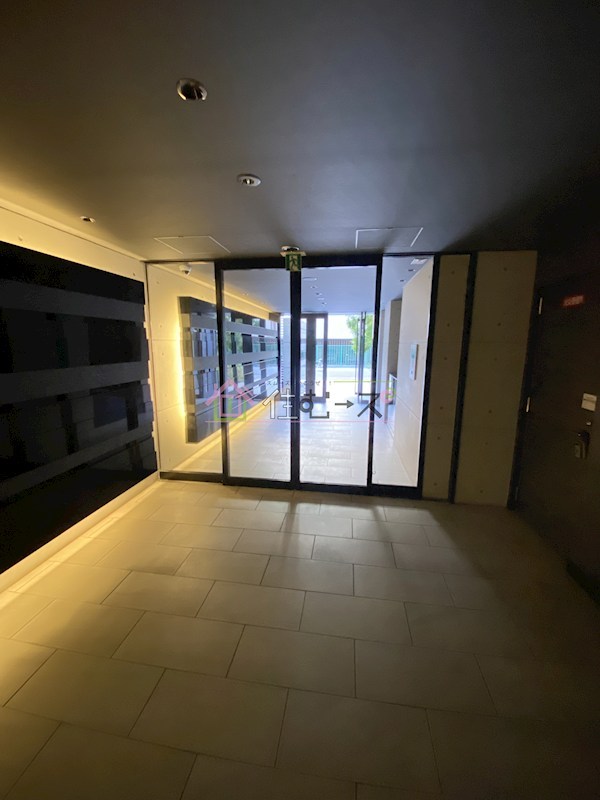 レオンコンフォート本町 その他外観2