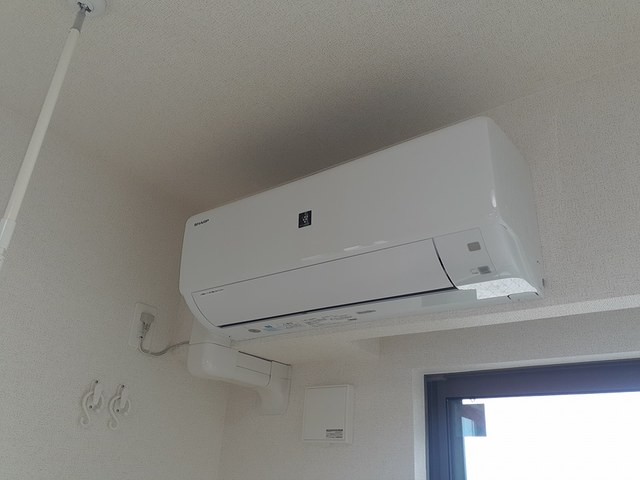 ポルチュラーカ その他3