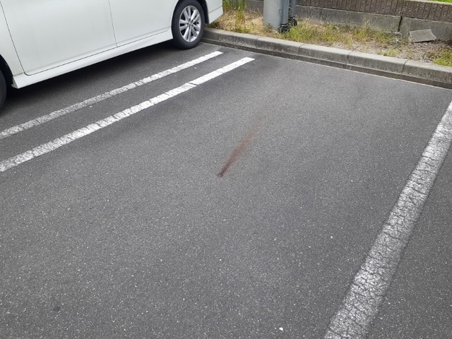 Ｆｉｏｒｅ　水無瀬 その他6