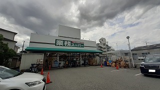 サンロイヤルⅡ その他外観2