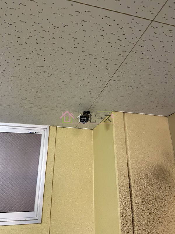 シャンベルMK その他外観2