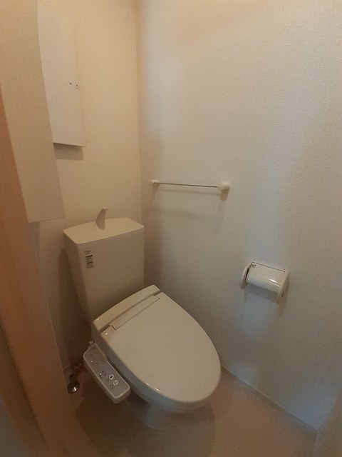 サイプレス　Ⅰ その他4