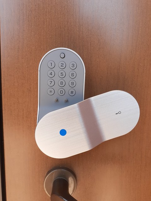 サイプレス　Ⅰ その他7