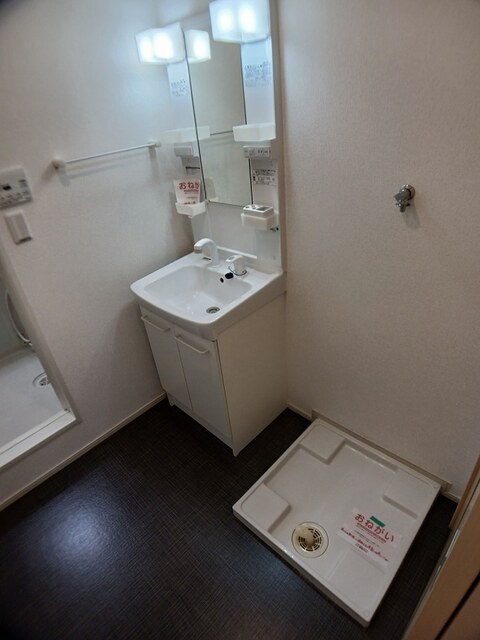 ホメ　ハウオリ その他2