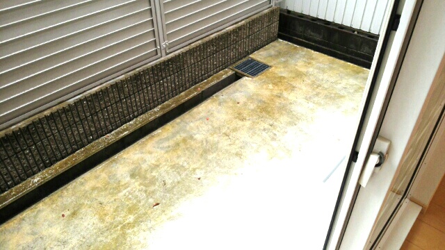 ゴールドクレスト雁屋南　弐番館 その他8