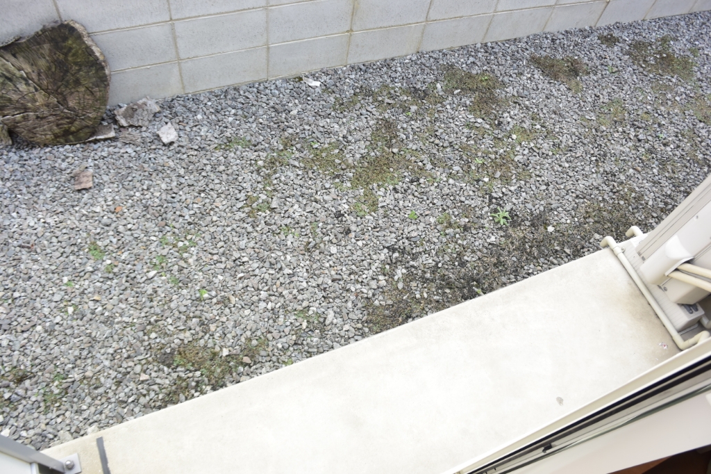 レオパレスコンポステラ服部 その他4