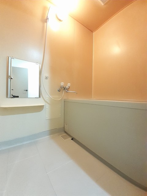 サンヴィレッジ上尾Ⅱ 風呂画像