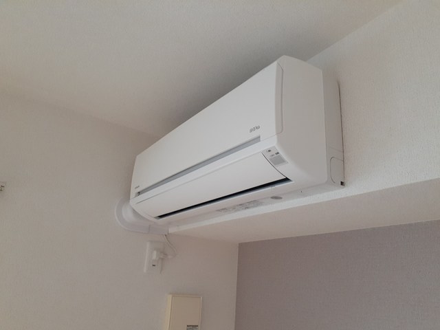 サウスランド その他1