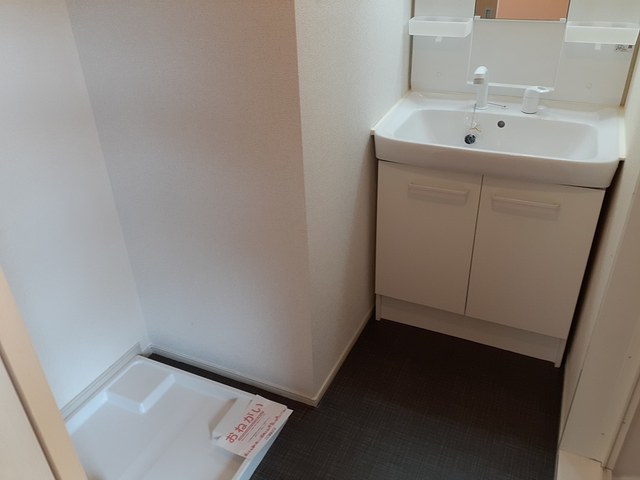 セントーレア その他2