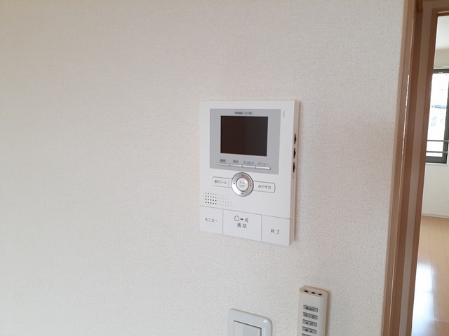 セントーレア その他5