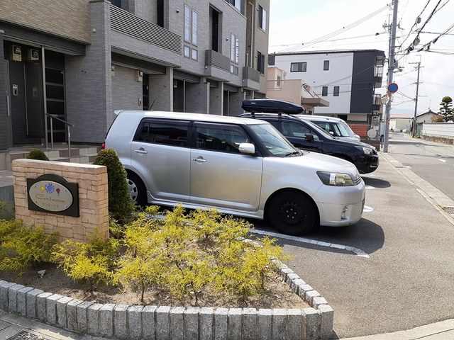 セントーレア その他6