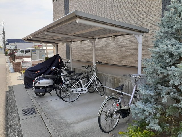 セントーレア その他7