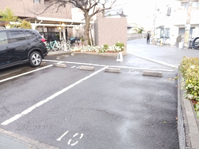 リヴィエール・桜 その他6