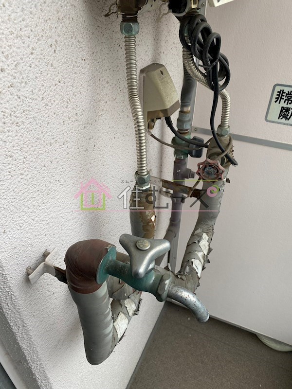 ルネッサンスエレガンス その他2